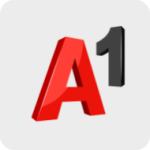 A1